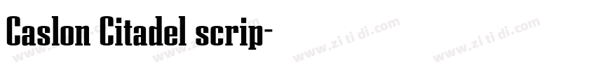 Caslon Citadel scrip字体转换